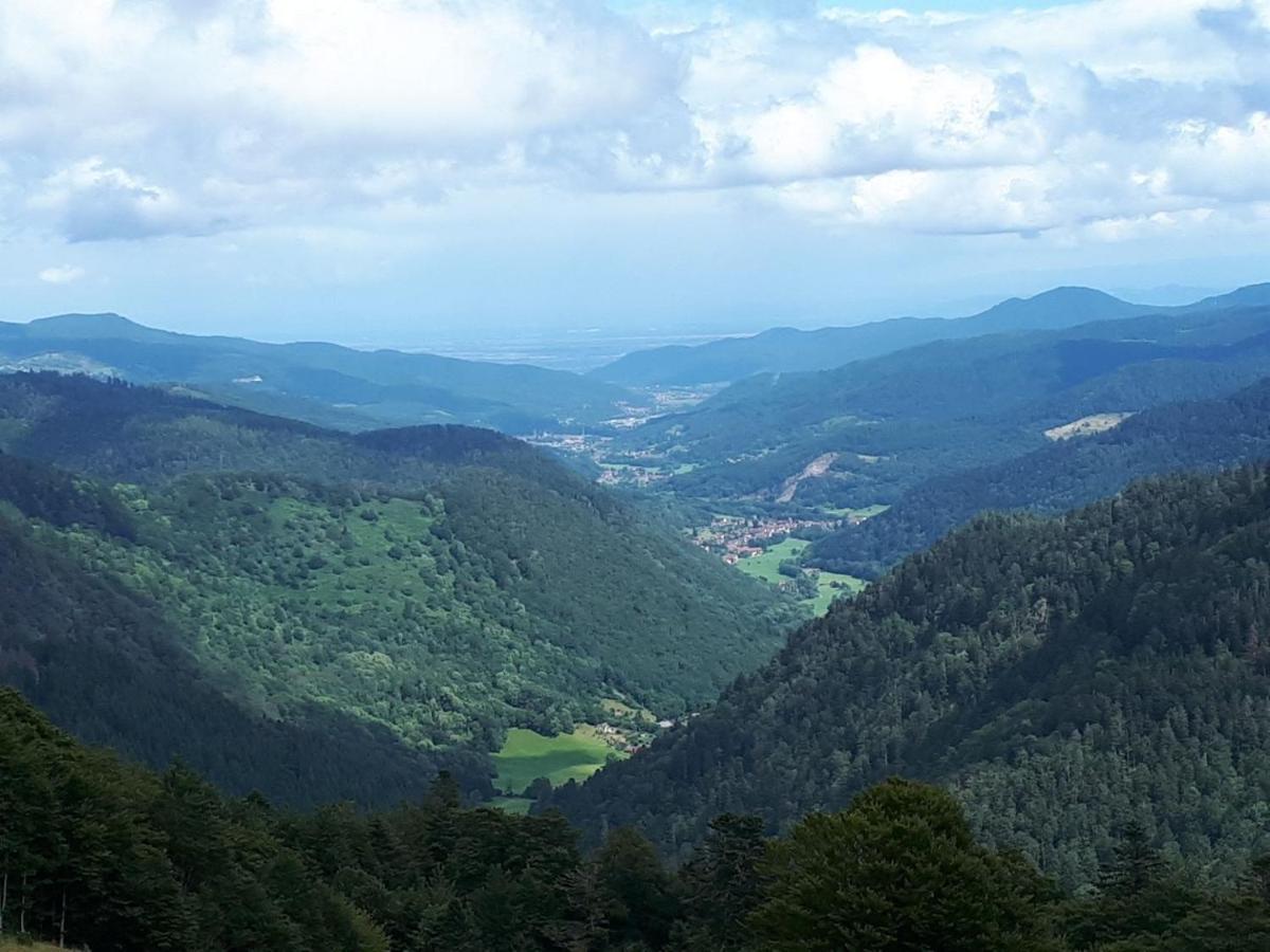 Le Chalet De Cathy Soultzeren Kültér fotó
