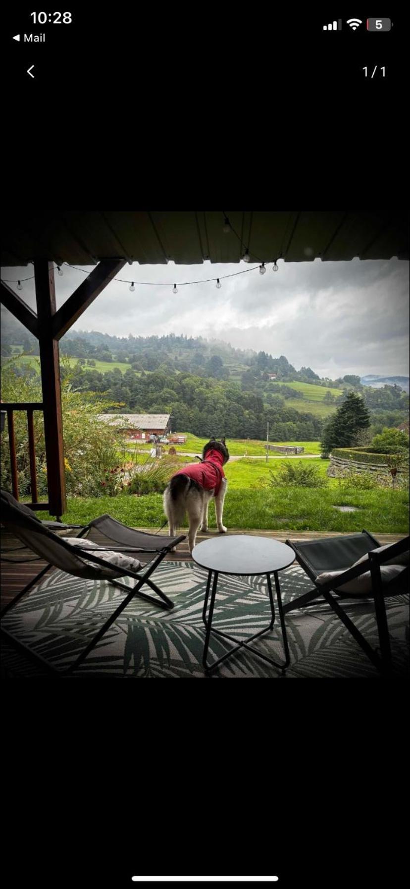 Le Chalet De Cathy Soultzeren Kültér fotó